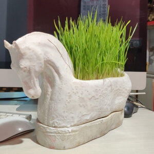 Horse Idol for Jwara growing