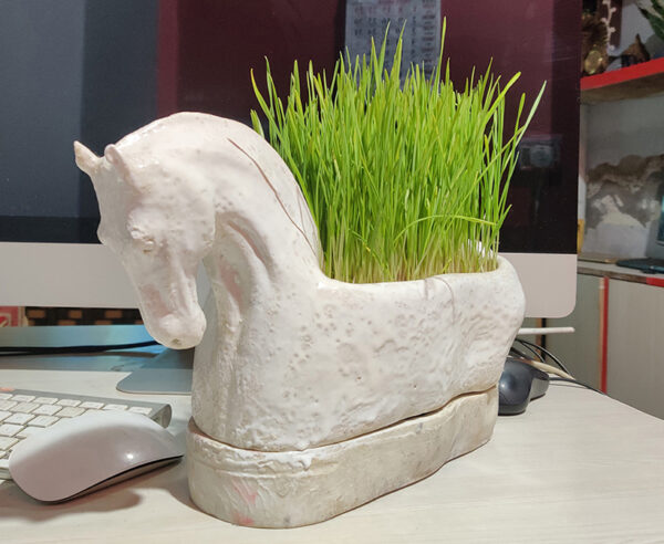Horse Idol for Jwara growing