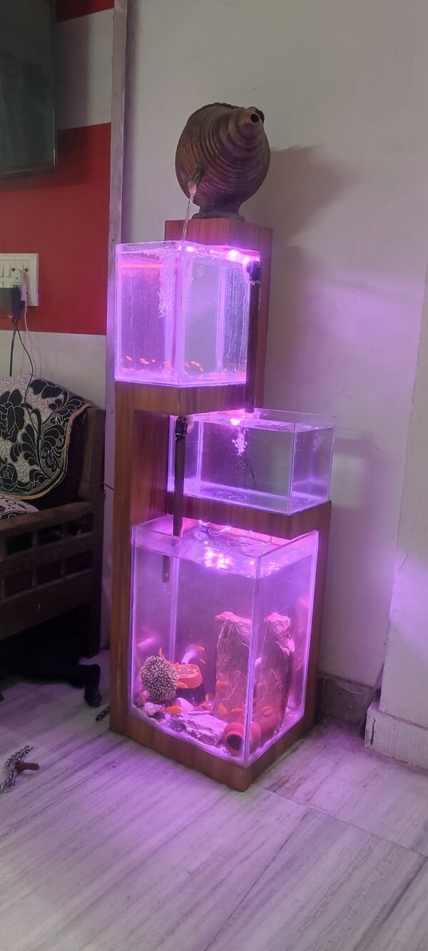 Fish Aquarium - Image 2