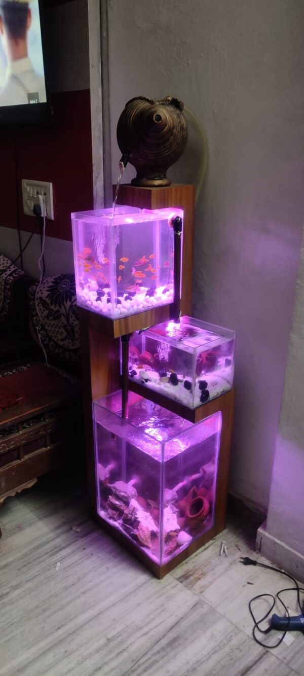 Fish Aquarium